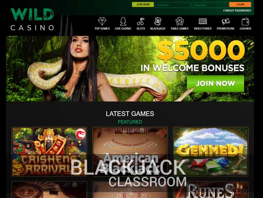 The A-Z Guide Of BitDreams casino australia